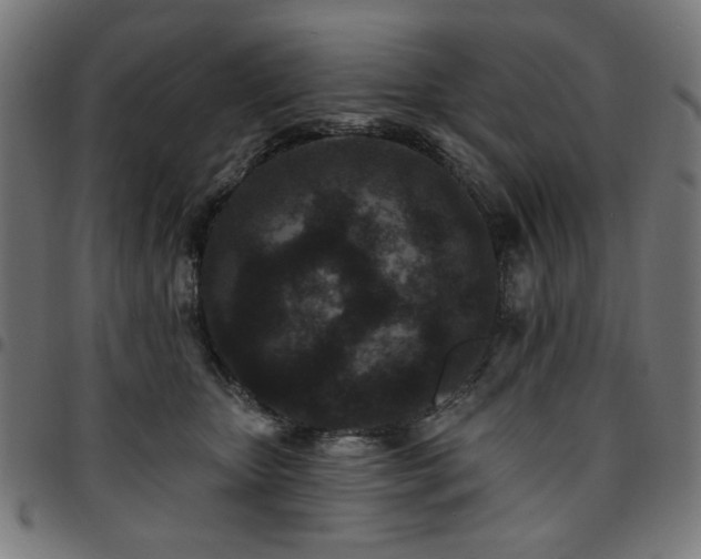 X0000095530467200712141506