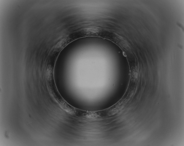 X0000095530468200712141506