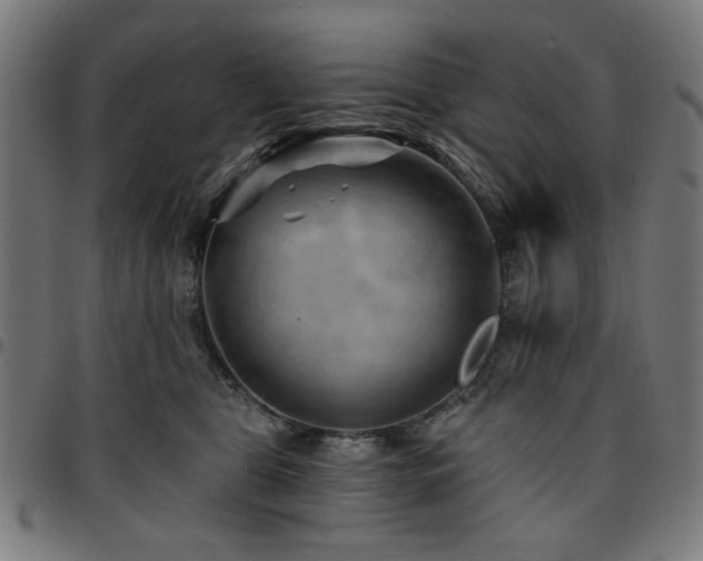 X0000095530469200712141506