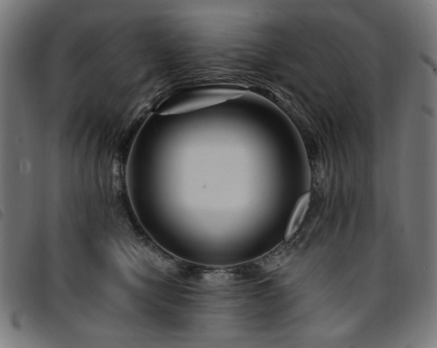 X0000095530470200712141506