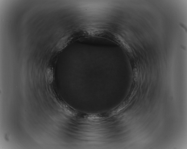 X0000095530471200712141506
