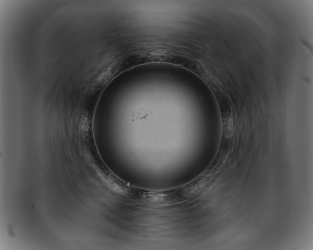 X0000095530472200712141506