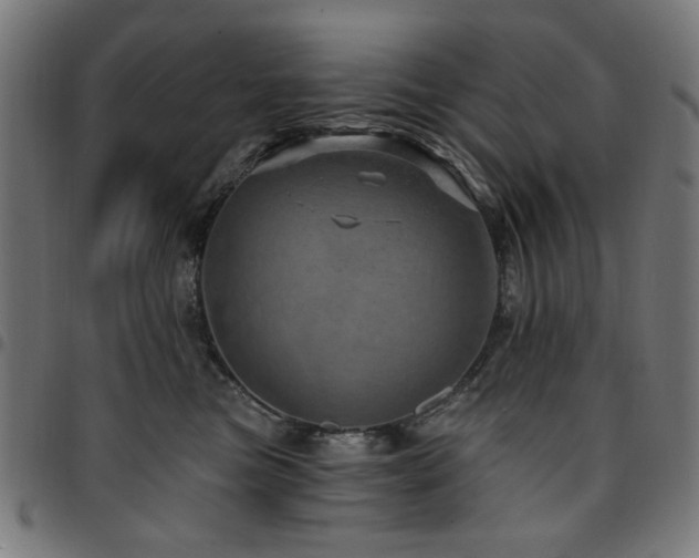 X0000095530473200712141506