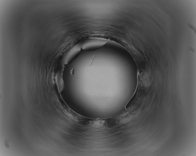 X0000095530474200712141506