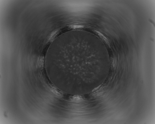 X0000095530475200712141506