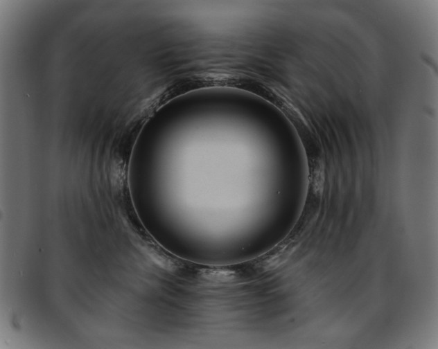 X0000095530476200712141506