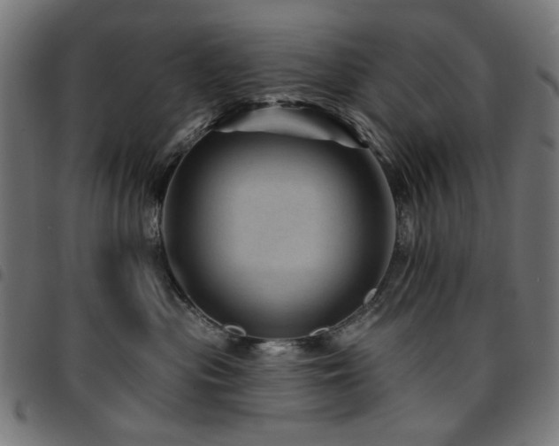 X0000095530477200712141506