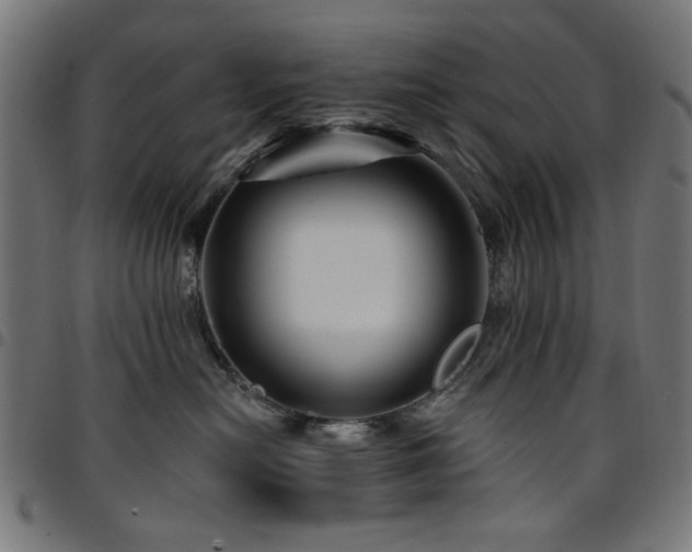X0000095530478200712141506