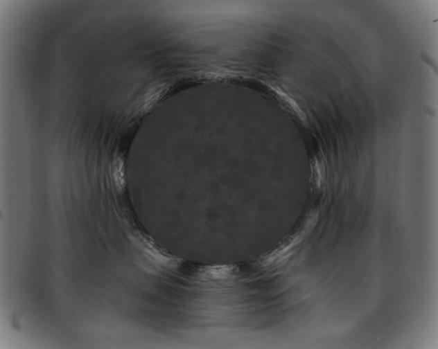 X0000095530479200712141506