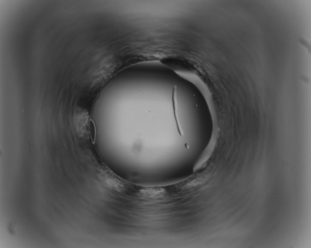X0000095530480200712141506