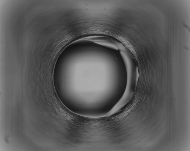 X0000095530481200712141505