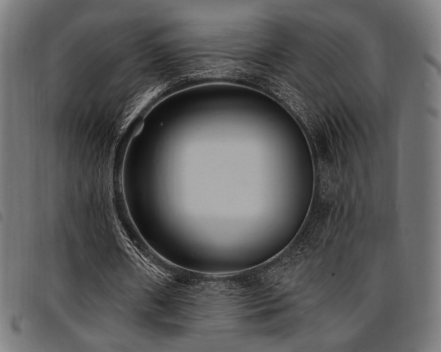X0000095530482200712141505