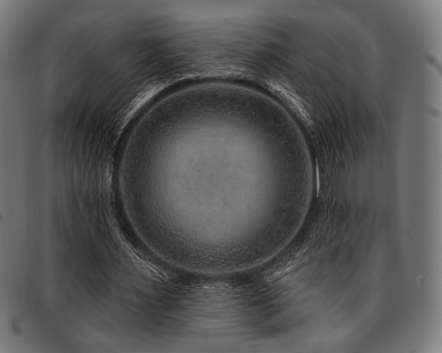 X0000095530483200712141505