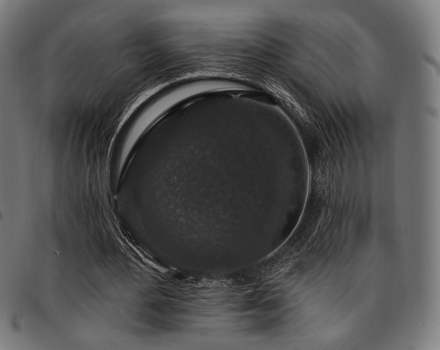 X0000095530484200712141505