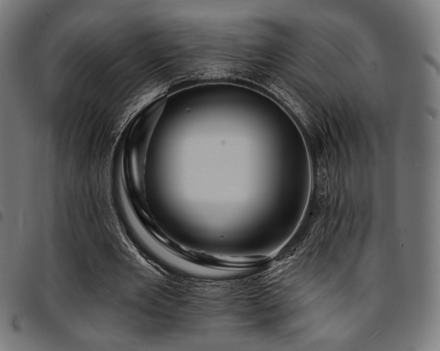 X0000095530485200712141505