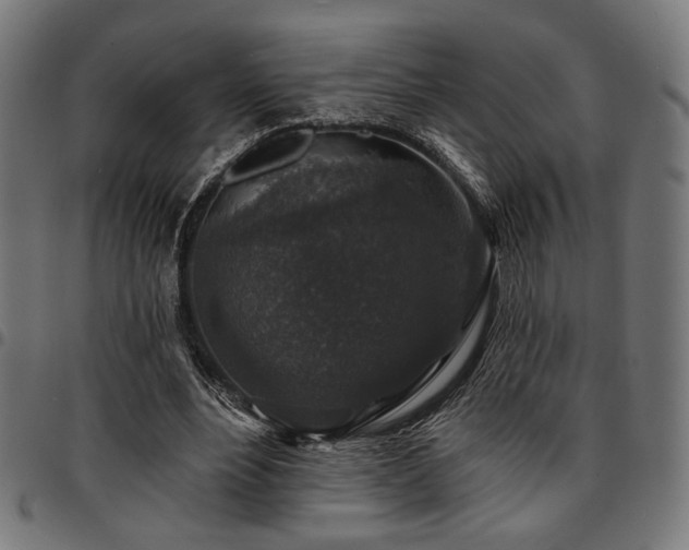 X0000095530488200712141505