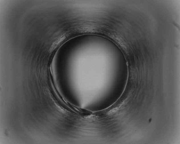 X0000095530489200712141505