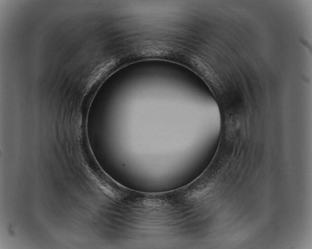 X0000095530490200712141505