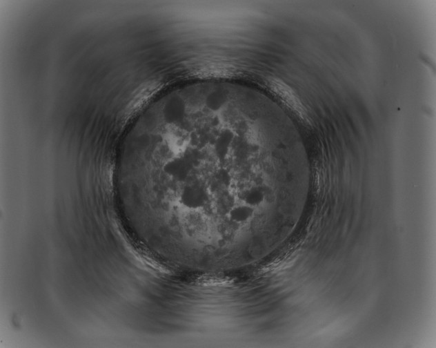 X0000095530491200712141505