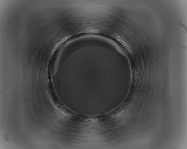 X0000095530492200712141505