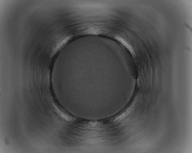 X0000095530493200712141505