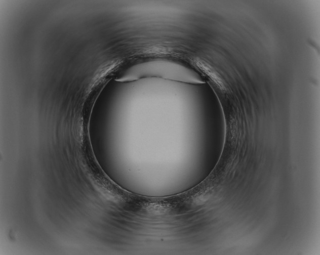 X0000095530494200712141505