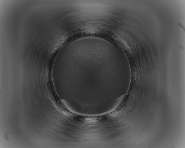 X0000095530496200712141505