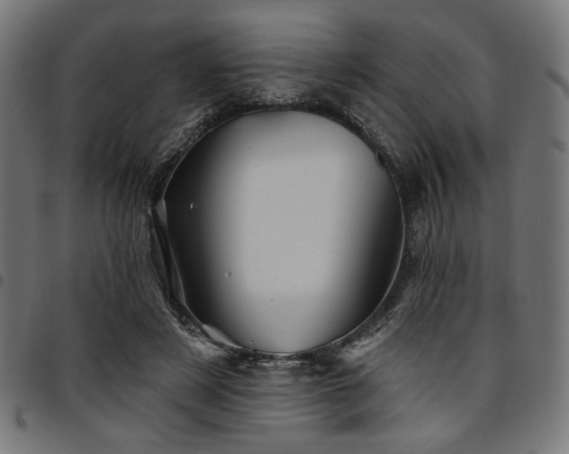 X0000095530497200712141505