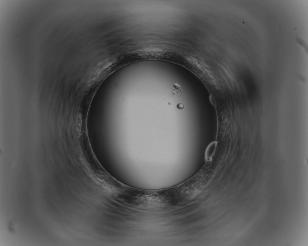 X0000095530498200712141505