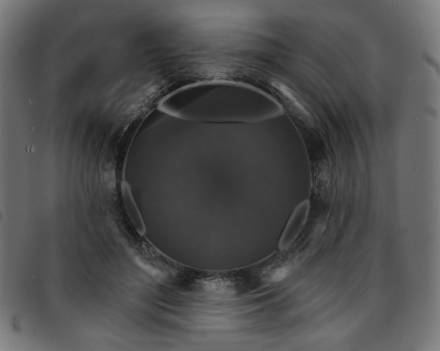 X0000095530500200712141505