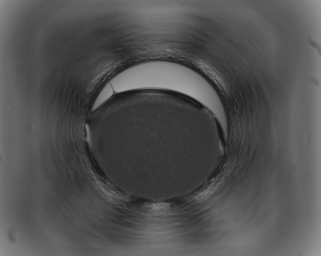 X0000095530501200712141505