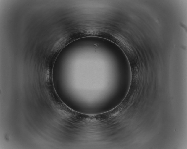 X0000095530502200712141505