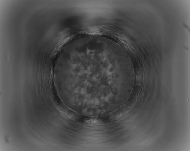 X0000095530503200712141505