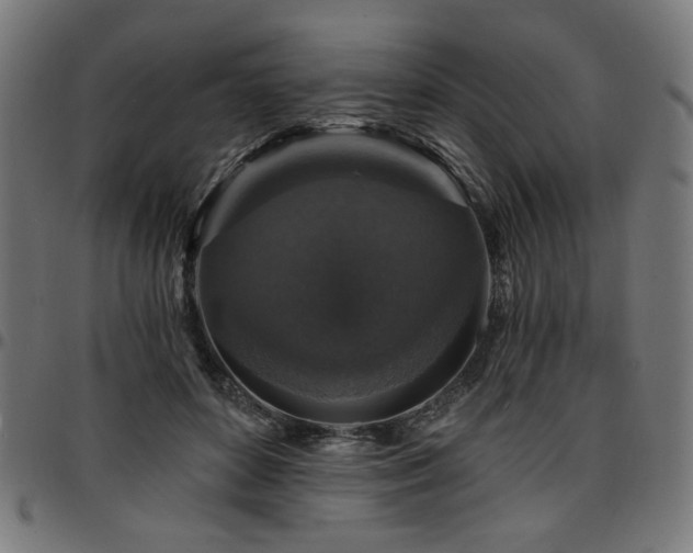 X0000095530504200712141505