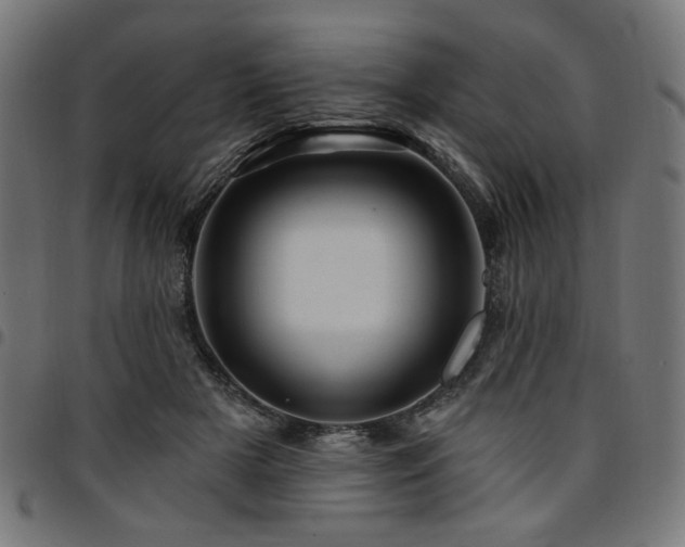 X0000095530505200712141505