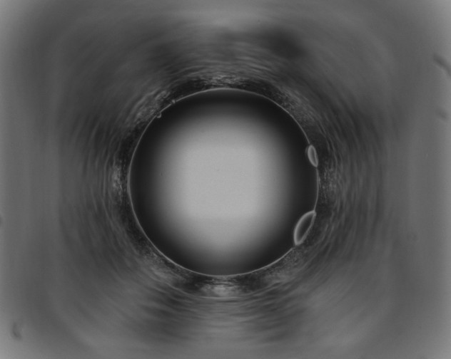 X0000095530506200712141505