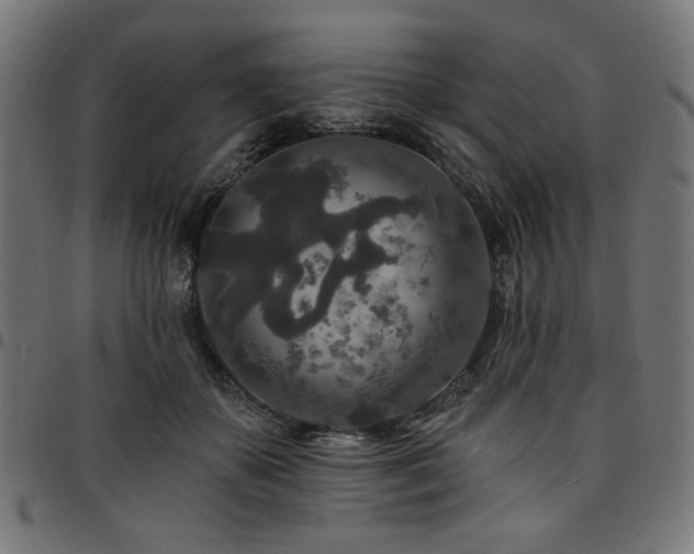 X0000095530507200712141505