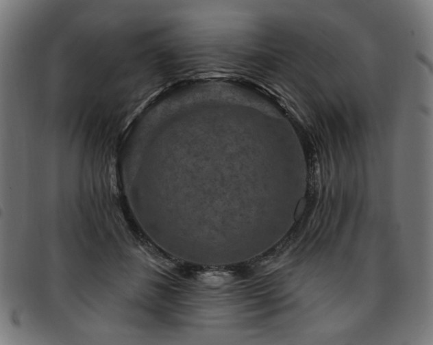 X0000095530508200712141505