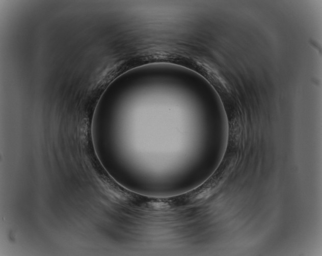 X0000095530509200712141505