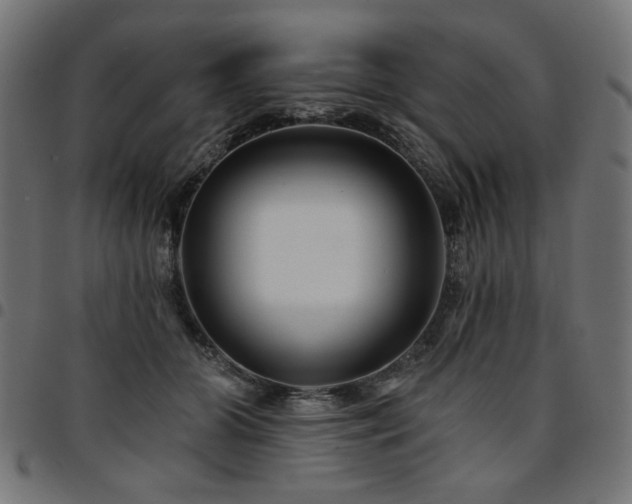 X0000095530510200712141505