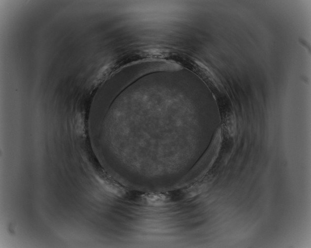X0000095530512200712141505