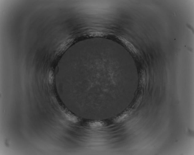 X0000095530513200712141505