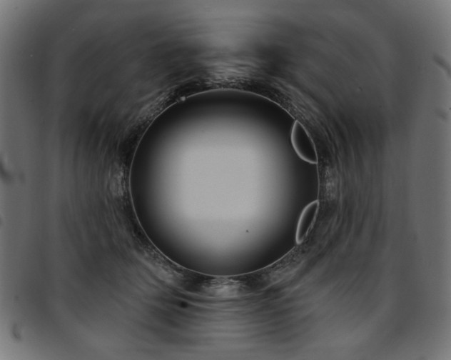 X0000095530514200712141505