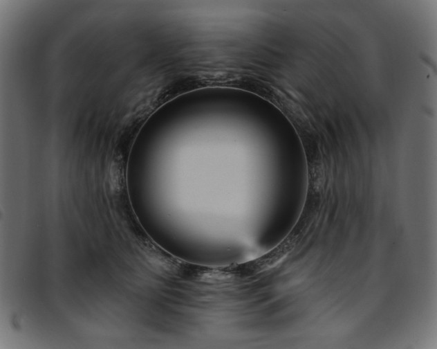 X0000095530515200712141505
