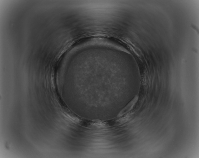X0000095530516200712141505