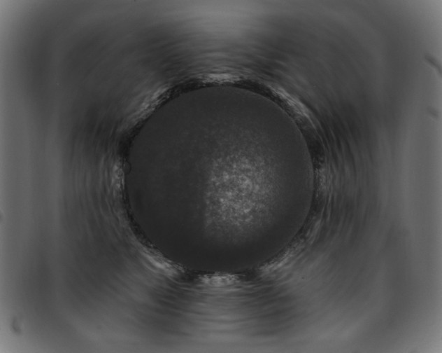 X0000095530517200712141505