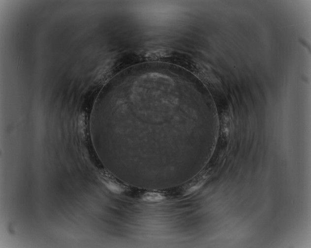 X0000095530519200712141505