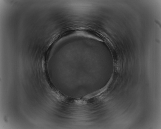 X0000095530520200712141505