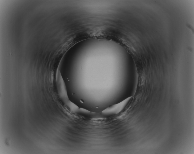 X0000095530521200712141505