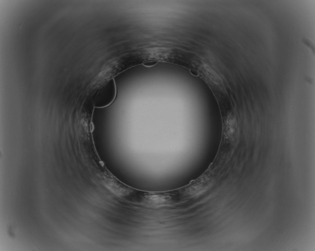 X0000095530522200712141505